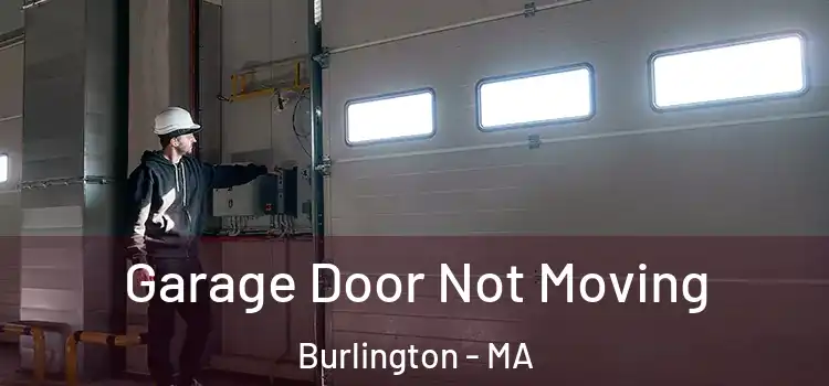  Garage Door Not Moving Burlington - MA