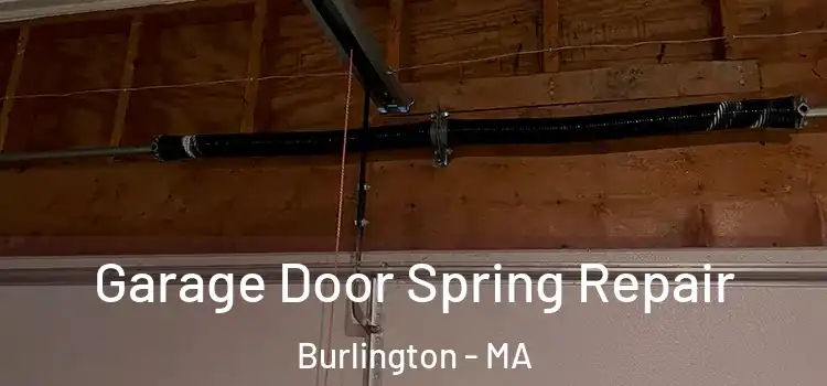  Garage Door Spring Repair Burlington - MA