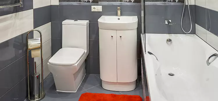 Hansgrohe Shaving Mirror Burlington
